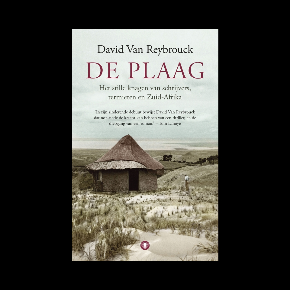 de plaag